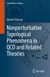 Nonperturbative Topological Phenomena... - Bild 1