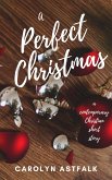 A Perfect Christmas (eBook, ePUB) A Perfect Christmas (eBook, ePUB)