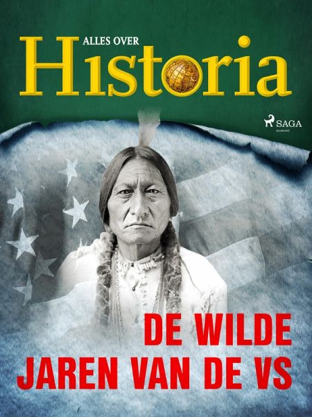 De wilde jaren van de VS (eBook, ePUB) De wilde jaren van de VS (eBook, ePUB)