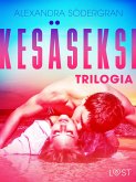 Kesäseksi: Trilogia (eBook, ePUB)