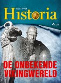 De onbekende Vikingwereld (eBook, ePUB)