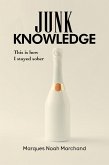 Junk Knowledge (eBook, ePUB)