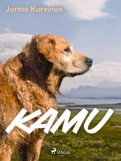 Kamu (eBook, ePUB) - Kurvinen, Jorma