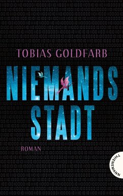 Niemandsstadt (Mängelexemplar) - Goldfarb, Tobias