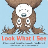 Look What I See (eBook, ePUB)