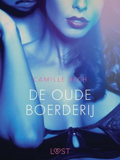 Cover De oude boerderij - erotisch verhaal (eBook, ePUB)