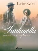 Tuuliajolla: saaristolaisromaani (eBook, ePUB)