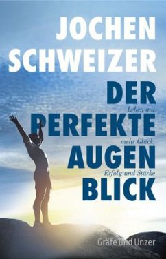 Der perfekte Augenblick (Mängelexemplar) - Schweizer, Jochen