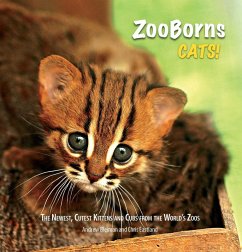 Cover ZooBorns Cats! (eBook, ePUB)