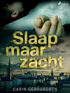 Cover Slaap maar zacht (eBook, ePUB)