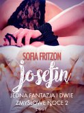 Josefin: Jedna fantazja i dwie zmysłowe noce 2 - opowiadanie erotyczne (eBook, ePUB)