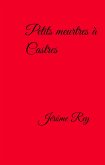 Petits meurtres a Castres (eBook, ePUB)