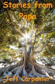 Stories From Papa (eBook, ePUB)
