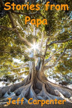 Cover Stories From Papa (eBook, ePUB)