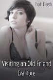 Visiting an Old Friend (eBook, ePUB)