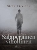 Salaperäinen vihollinen (eBook, ePUB)