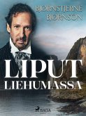 Liput liehumassa (eBook, ePUB)