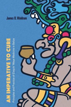 Cover An Imperative to Cure (eBook, ePUB)