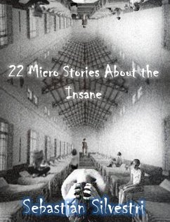 22 Micro Stories About the Insane (eBook, ePUB) - Silvestri, Sebastian