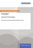 Speicher-Technologie (eBook, PDF)