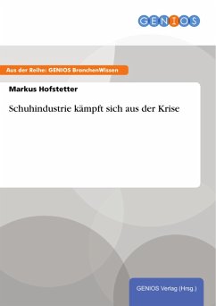 Schuhindustrie kämpft sich aus der Krise (eBook, PDF) - Hofstetter, Markus