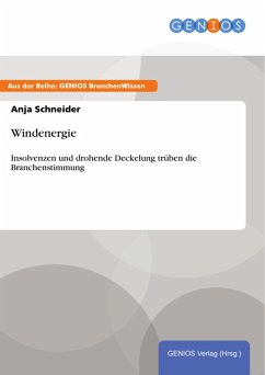 Windenergie (eBook, PDF) - Schneider, Anja Windenergie (eBook, PDF) - Schneider, Anja