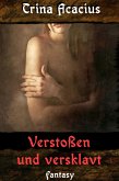 Verstoßen und versklavt (eBook, ePUB)