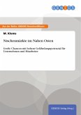 Nischenmärkte im Nahen Osten (eBook, PDF)