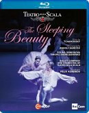 The Sleeping Beauty The Sleeping Beauty
