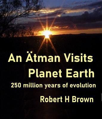 An Ätman Visits Planet Earth (eBook, ePUB)