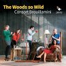 The Woods So Wild - Bild 1