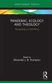 Pandemic, Ecology and Theology (eBook, ePUB)