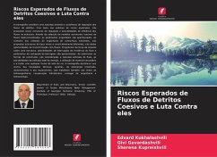 Riscos Esperados de Fluxos de Detritos Coesivos e Luta Contra eles - Kukhalashvili, Edvard;Gavardashvili, Givi;Kupreishvili, Shorena