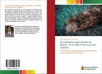 Governança das águas no Brasil: O rio São Francisco em análise