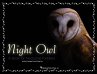Night Owl - Bild 1