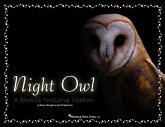 Night Owl