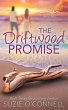 The Driftwood Promise - Bild 1