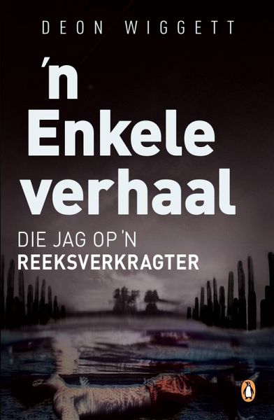 'n Enkele verhaal (eBook, ePUB)