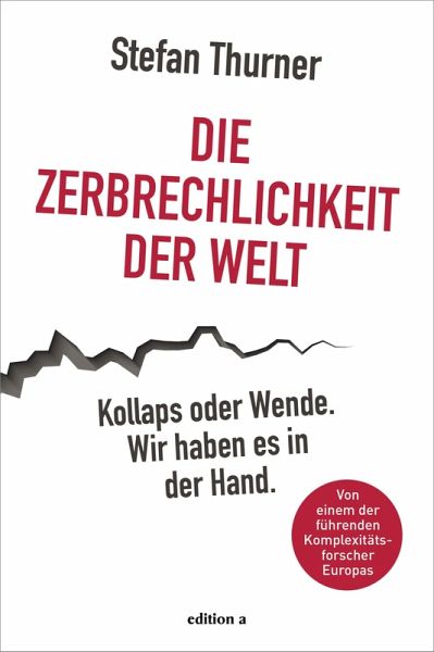 Die Zerbrechlichkeit der Welt (eBook, ePUB)