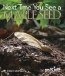Next Time You See a Maple Seed - Bild 1