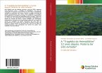 A &quote;Tragédia da Hemodiálise&quote; 12 anos depois: Poderia ter sido evitada?