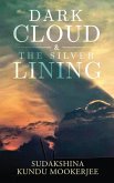 Dark Cloud and the Silver Lining