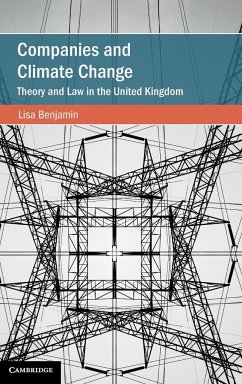 Companies and Climate Change - Benjamin, Lisa