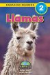 Llamas - Bild 1