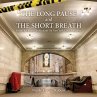 The Long Pause and the Short Breath - Bild 1