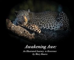 Awakening Awe - Baures, Mary