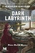 Dark Labyrnith - Bild 1