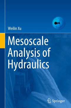 Mesoscale Analysis of Hydraulics - Xu, Weilin