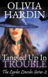 Tangled Up in Trouble - Bild 1