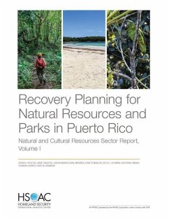 Recovery Planning for Natural Resources and Parks in Puerto Rico: Natural and Cultural Resources Sector Report, Volume 1 - Resetar, Susan A.; Tingstad, Abbie; Mendelsohn, Joshua